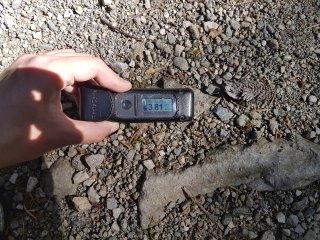 Muráň - lesná cesta #15