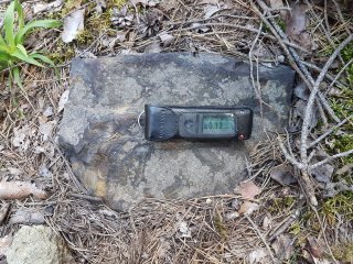 Muráň - nad haldou pri ceste #1