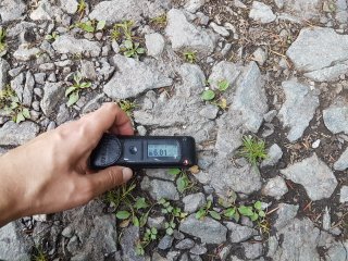 Muráň - lesná cesta #18