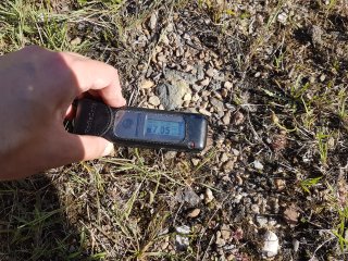 Muráň - lesná cesta #19