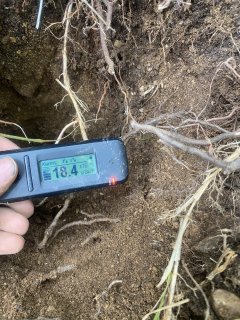 Nález u dolu plavno