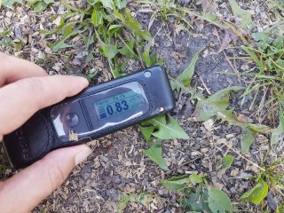 Muráň - lesná cesta #22