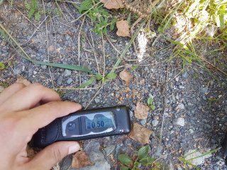 Muráň - lesná cesta #24