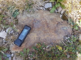 Muráň - lesná cesta #28