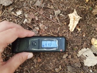 Krompachy - v lese #1