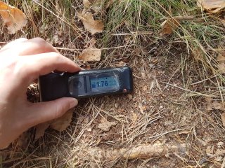 Krompachy - v lese #3