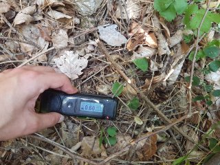 Krompachy - západný les #1