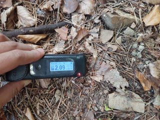 Krompachy - západný les #2 (hotspot)