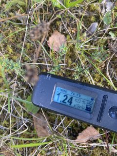 Konětopy šachta 15