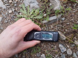 Kravany - lesná cesta #1