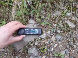 Kravany - lesná cesta #2