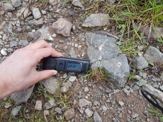 Kravany - lesná cesta #3