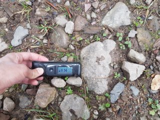 Kravany - lesná cesta #5