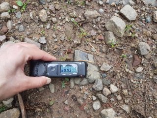 Kravany - lesná cesta #6