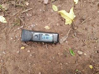 Kravany - lesná cesta #7