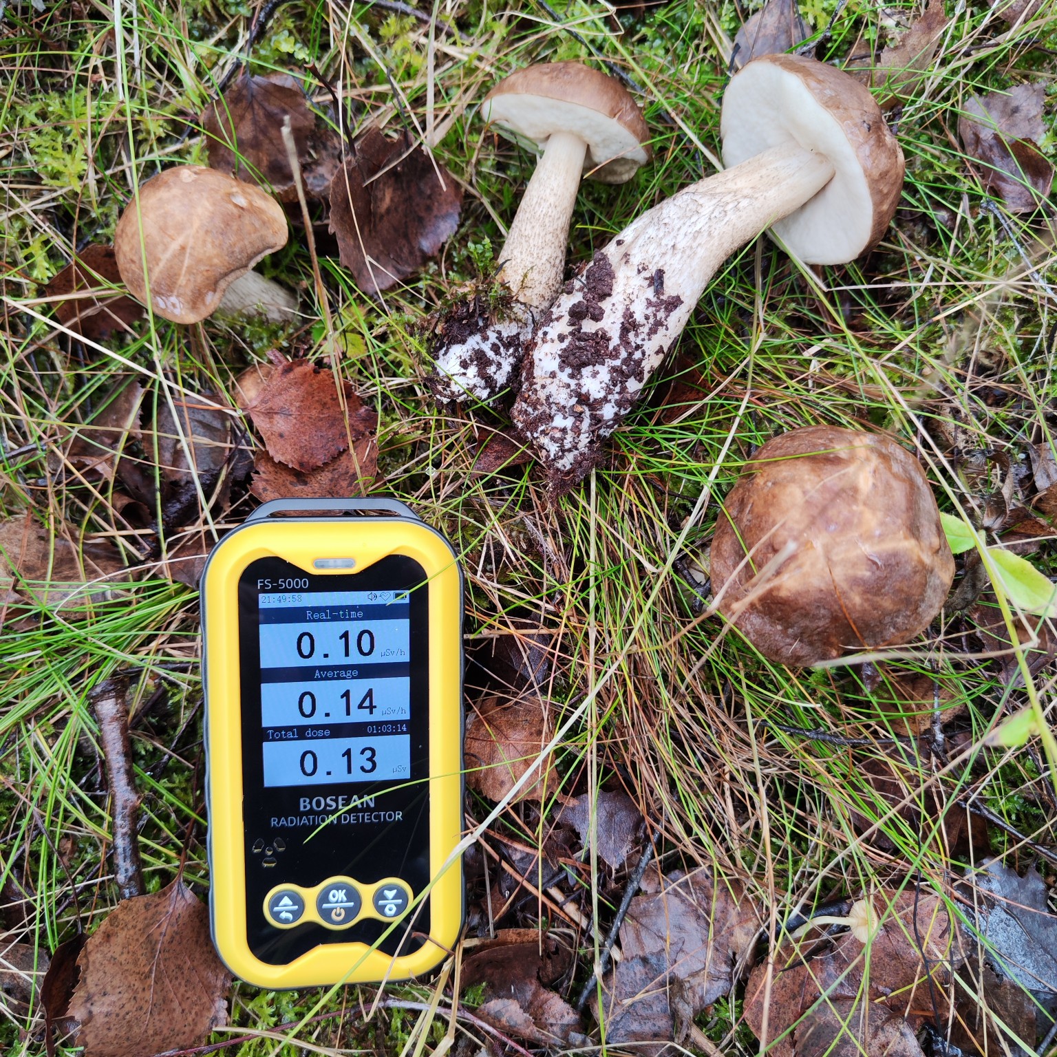 Štola sv. Prokopa, bývalá těžba uhlí, halda