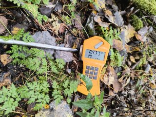 haldička u Vítkova II