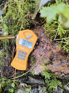 haldička u Vítkova II