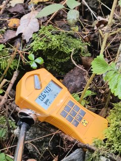 haldička u Vítkova II