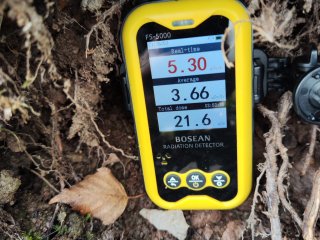 Horní Slavkov, halda dolu č.8