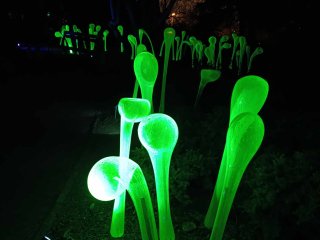 Výstava - Kříšťálová Zahrada