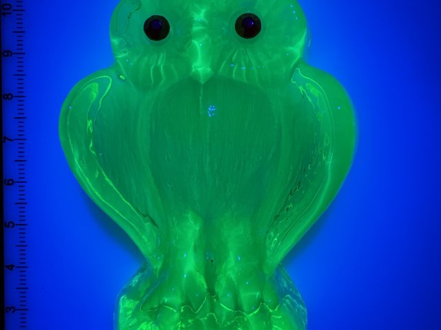 Uranové sklo - sova (současná výroba)